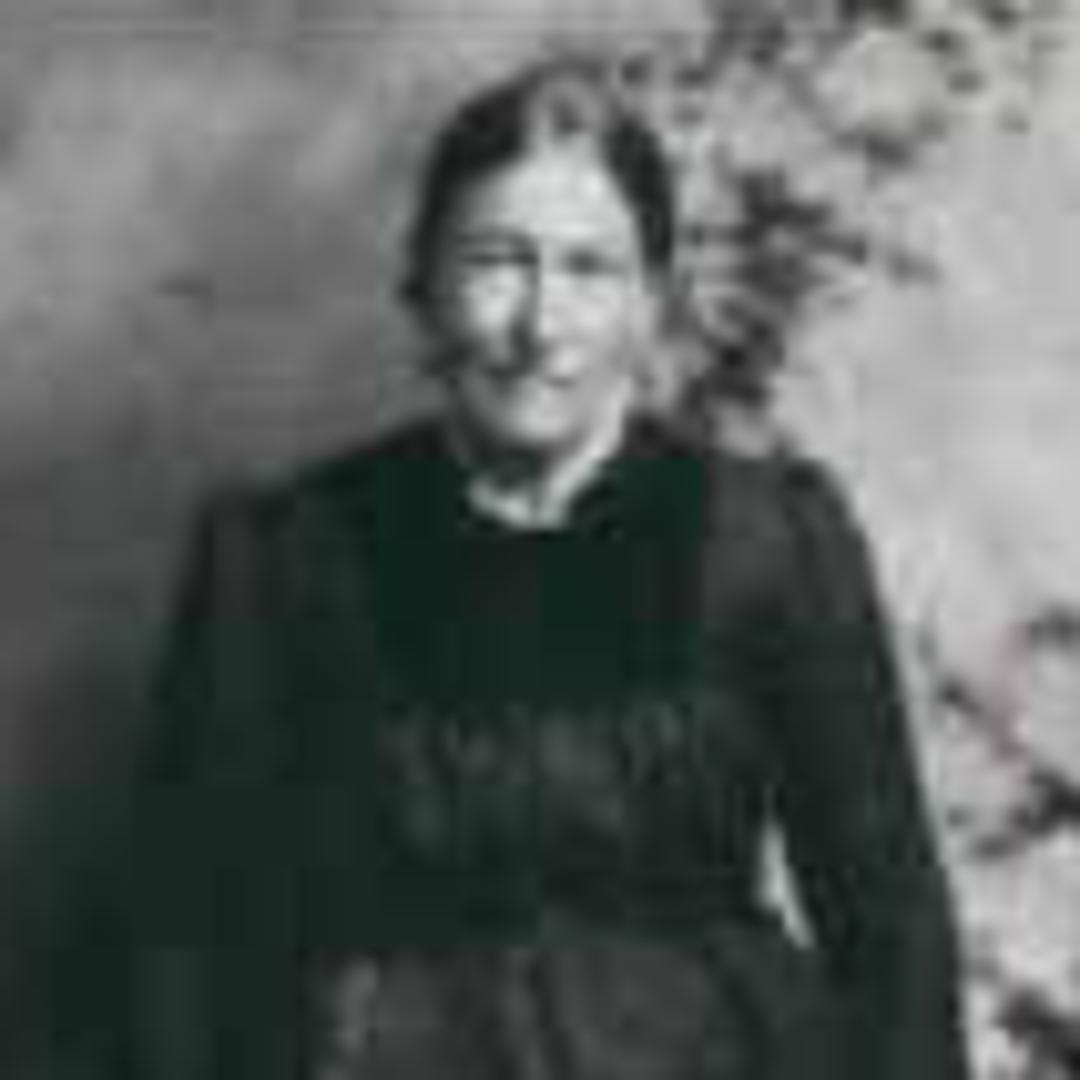 Louisa Samantha Hitchcock (1828 - 1908) Profile